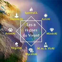 Homsham in de ont-moeting in natuurhuis de vlier